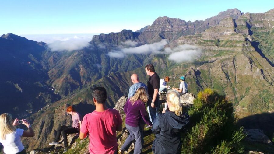 Funchal: Cabo Girão, Wines Tasting and Dolphins Watching - Should you book this Funchal day of Cabo Girão, wine, and dolphins?