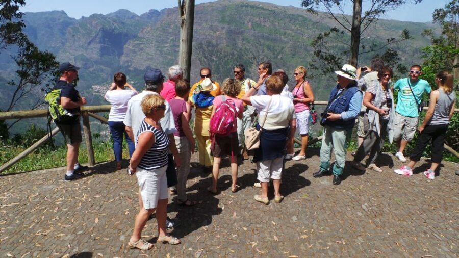 Funchal: Cabo Girão, Wines Tasting and Dolphins Watching - Henriques & Henriques Madeira wine tasting: Sweet to Dry