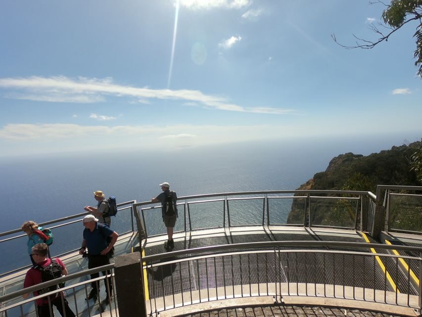 Funchal: Cabo Girão, Wines Tasting and Dolphins Watching - From Funchal Marina to dolphin watching on a catamaran
