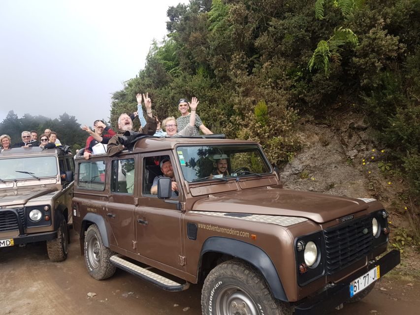 Funchal: Cabo Girão, Wines Tasting and Dolphins Watching - Who this tour suits best (and who should skip it)