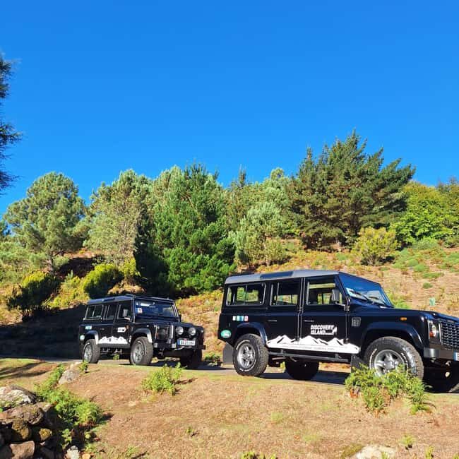 Funchal: Câmara Lobos & Girão Sea Cliff Half-Day Jeep Tour - Why This Route Works When You Want Big Madeira Views Fast