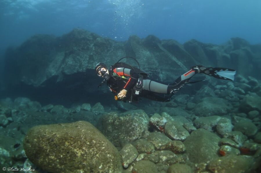 Funchal: Certified Scuba Diving, Guided Tour - Eco Park Funchal: Why This Marine Protected Area Changes the Feel