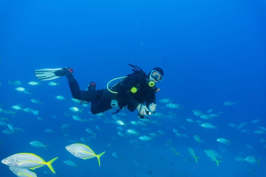 Funchal: Certified Scuba Diving, Guided Tour - UW-Scooter + Photography Time: Getting Footage Without Losing the Plot