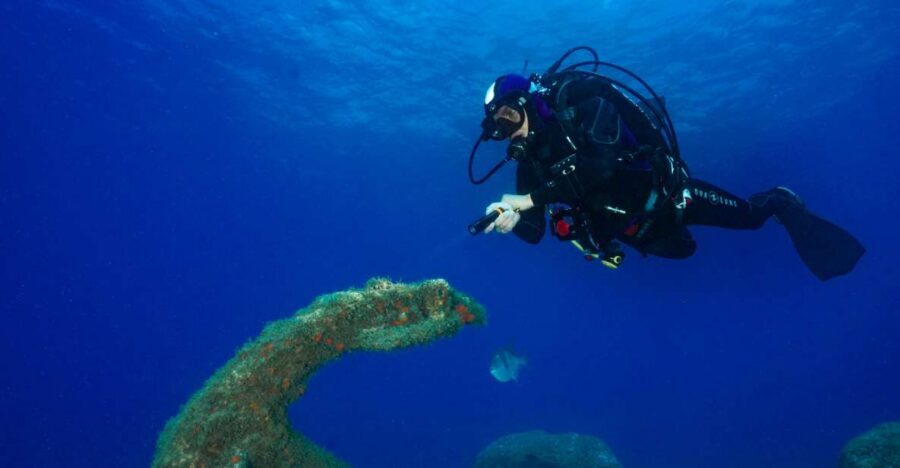 Funchal: Certified Scuba Diving, Guided Tour - Who This Certified Scuba Session Is Best For