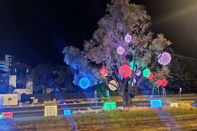 Funchal Christmas lights sightseeing night tour - Pickup and timing: fitting the lights around your schedule