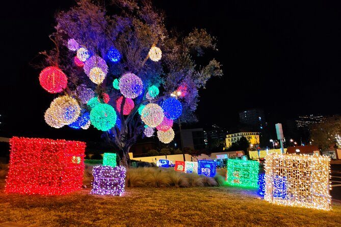 Funchal Christmas lights sightseeing night tour - The guide factor: friendly locals make the lights make sense