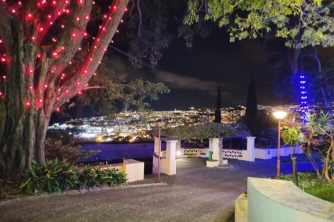Funchal: Christmas Lights Sightseeing Night Tour - Entering Funchal by sea: where the night tour begins