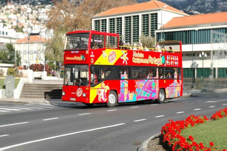 Funchal: City Sightseeing Hop-On Hop-Off Bus Tour - Night Tour at 8pm: When Evening Views Are the Best Deal