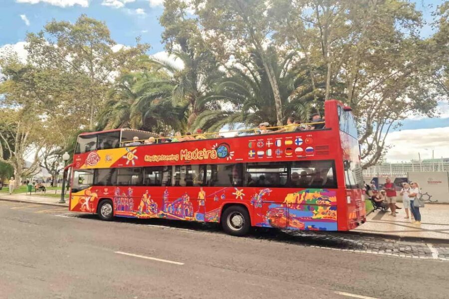 Funchal: City Sightseeing Hop-On Hop-Off Bus Tour - Practical Stop Tips: Avoid Wasted Time and Missed Connections