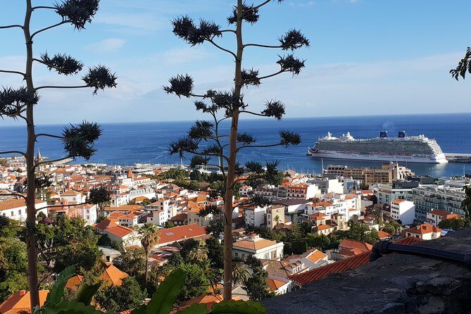 Funchal City Tour + Old Town - The Fruit, Flower, and Fish Market: What You’ll Notice in Minutes