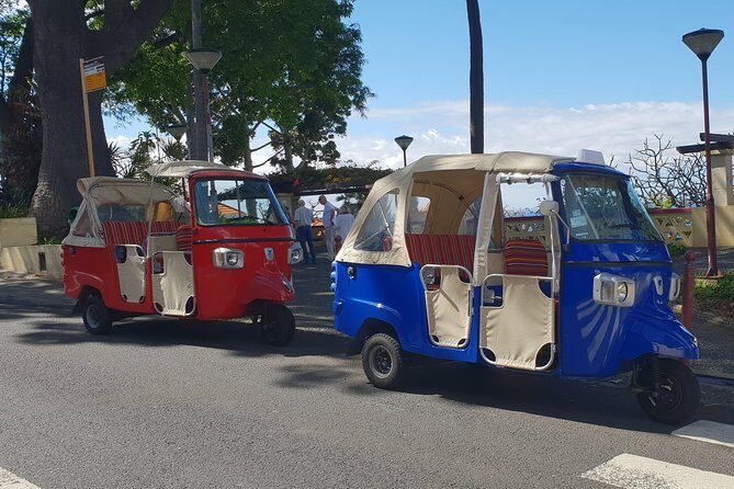 Funchal City Tour + Old Town - Painted Doors, Tourist-Friendly Charm, and Traditional Food Stops