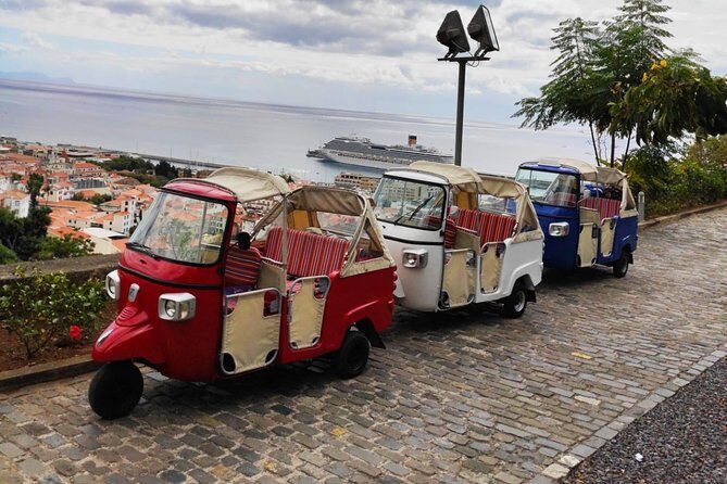 Funchal City Tour + Old Town - Complexo Balnear da Barreirinha: The Viewpoint Stop That’s Worth It
