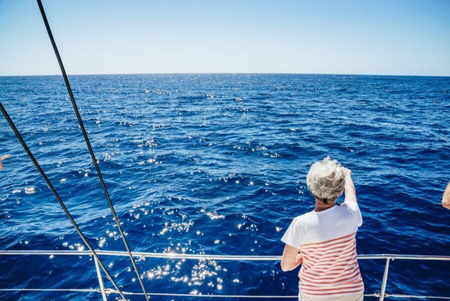 Funchal: Dolphin and Whale Watching by Luxury Catamaran - Key highlights you’ll feel on the water