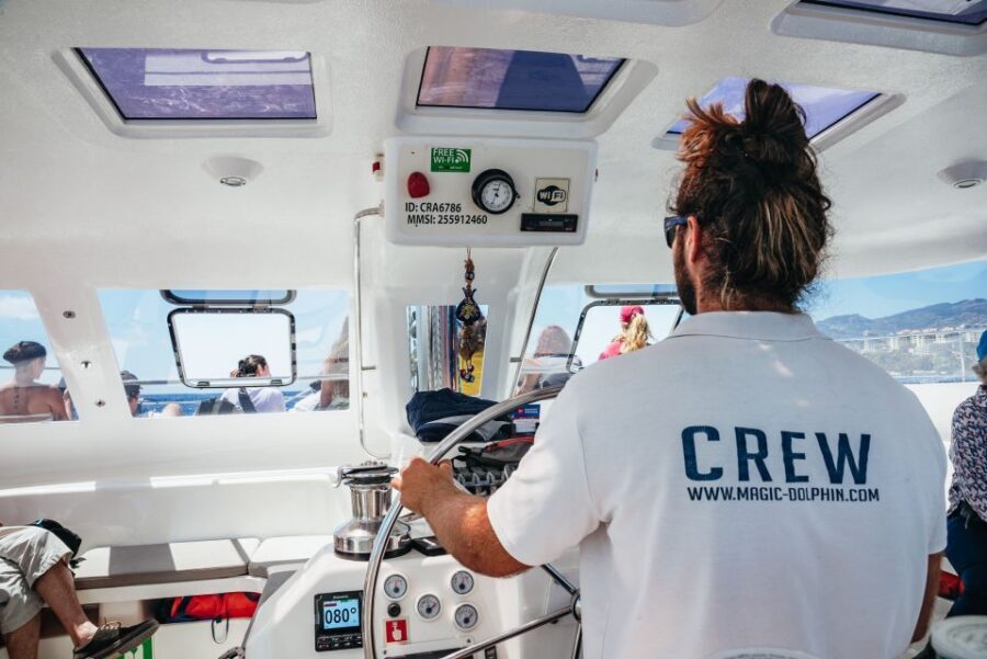 Funchal: Dolphin and Whale Watching by Luxury Catamaran - Animals you might see in the waters around Funchal