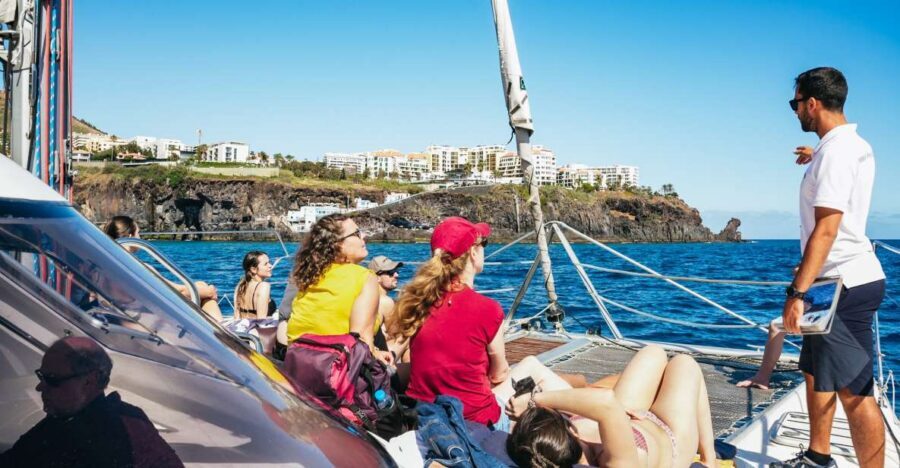 Funchal: Dolphin and Whale Watching by Luxury Catamaran - From Pier 8 to the open ocean: the rhythm of this 3-hour cruise