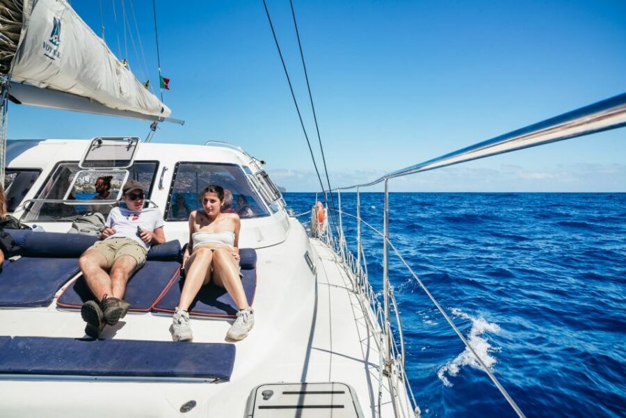 Funchal: Dolphin and Whale Watching by Luxury Catamaran - Snorkeling and the water check: what you can realistically expect