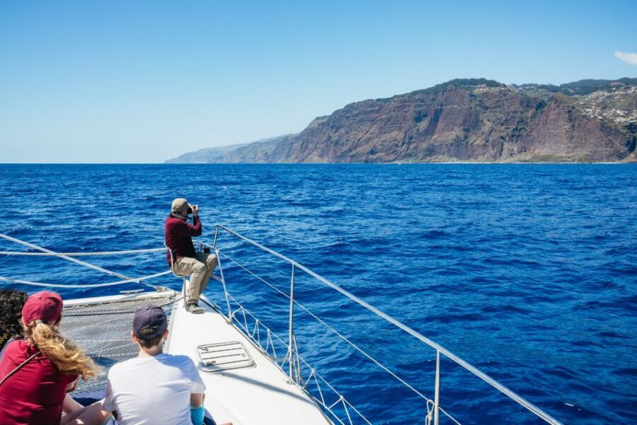 Funchal: Dolphin and Whale Watching by Luxury Catamaran - Onboard comfort: where to sit depends on how you like to watch