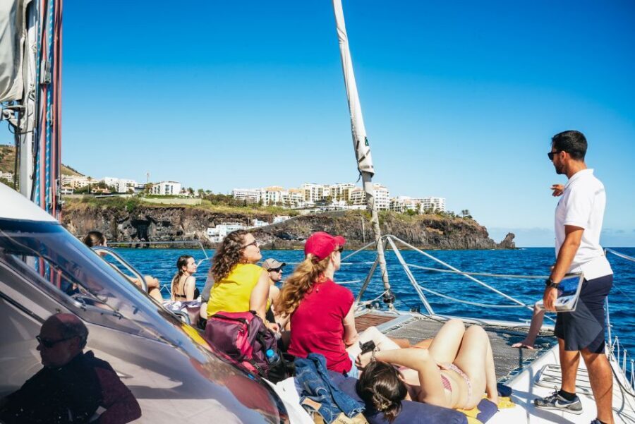 Funchal: Dolphin and Whale Watching by Luxury Catamaran - The wildlife viewing style: patience beats panic