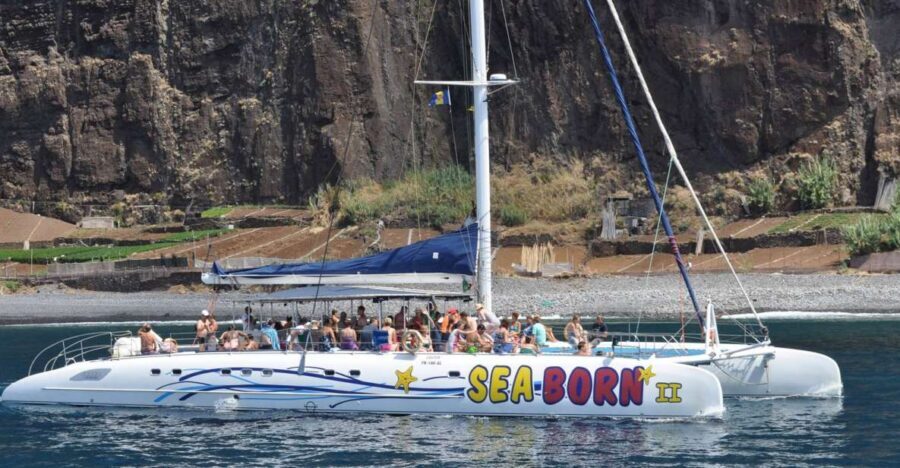 Funchal: Dolphin and Whale Watching Catamaran Cruise - Who this cruise suits best (and who should skip it)