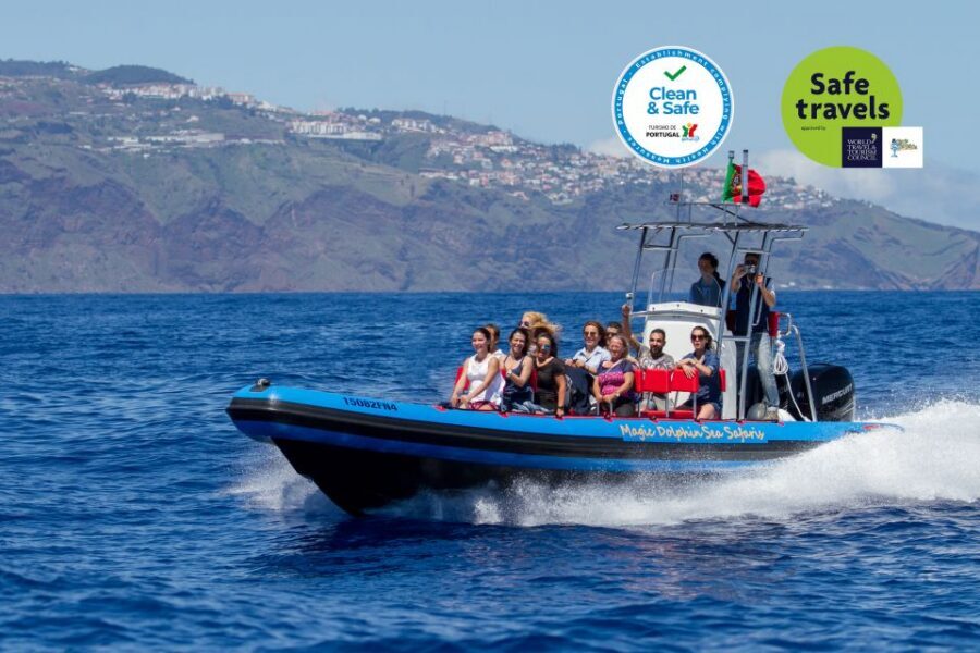 Funchal: Dolphin and Whale Watching Cruise - Why This Sea Safari Feels Different Than Big Ships