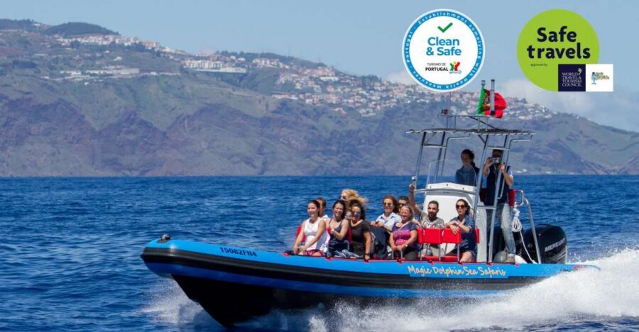 Funchal: Dolphin and Whale Watching Cruise - The 2-Hour On-Water Plan: Spotters, Offshore Search, Respectful Viewing