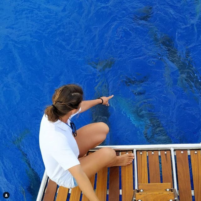 Funchal: Dolphin and Whale Watching Sailing Trip - Quick hits on this Madeira dolphin and whale cruise