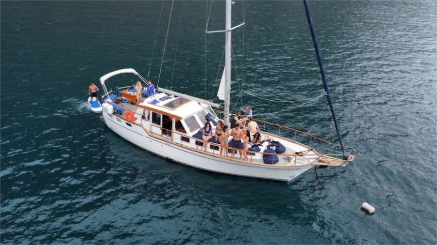 Funchal: Dolphin and Whale Watching Sailing Trip - A 3-hour sail that mixes wildlife, cliffs, and a real swim