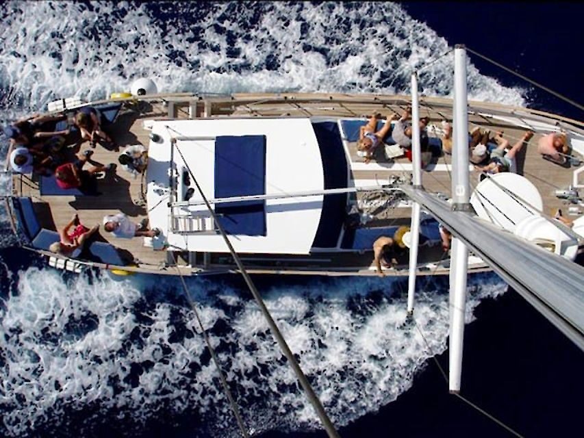 Funchal: Dolphin and Whale Watching Sailing Trip - Drinks and onboard atmosphere: why this doesn’t feel rushed