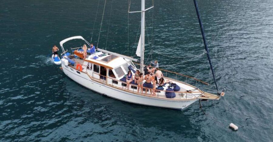 Funchal: Dolphin and Whale Watching Sailing Trip - Meeting point at Praça do Povo (and why shoe choice matters)
