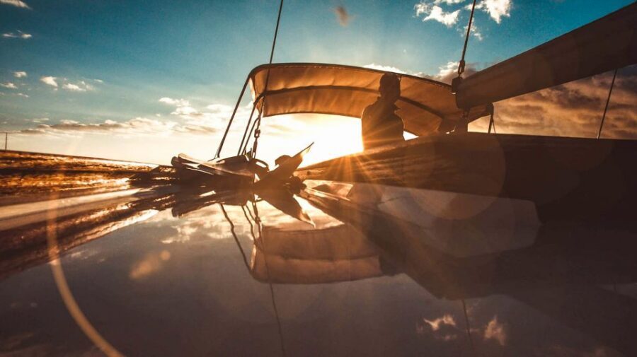 Funchal: Dolphin and Whale Watching Sunset Sailing Tour - Price and Value for a Madeira Sunset Sail