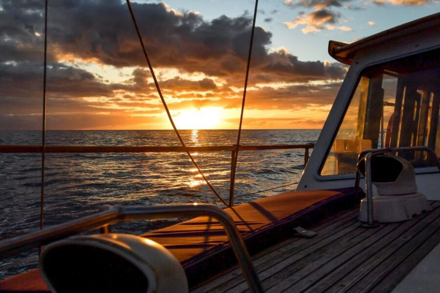 Funchal: Dolphin and Whale Watching Sunset Sailing Tour - The Yacht Experience: Small Group Sailing, Not a Party Boat