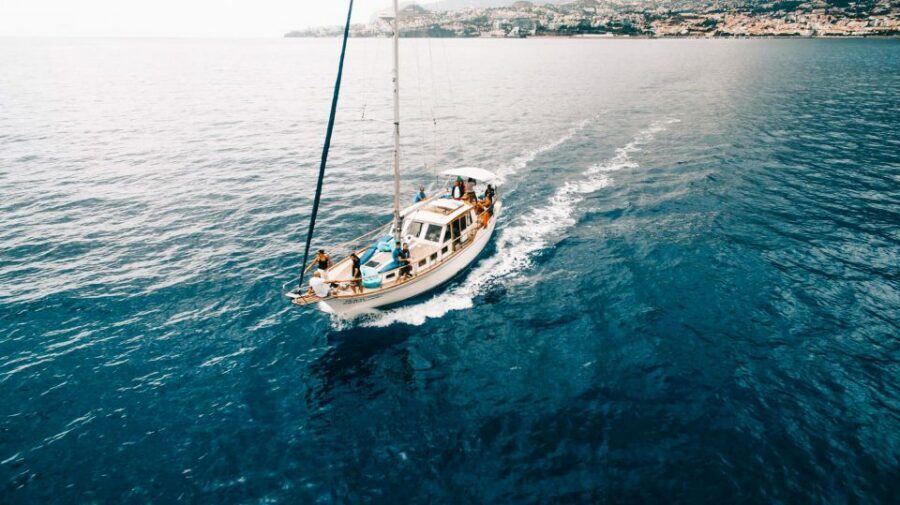 Funchal: Dolphin and Whale Watching Sunset Sailing Tour - Group Comfort, Motion, and Sea Conditions