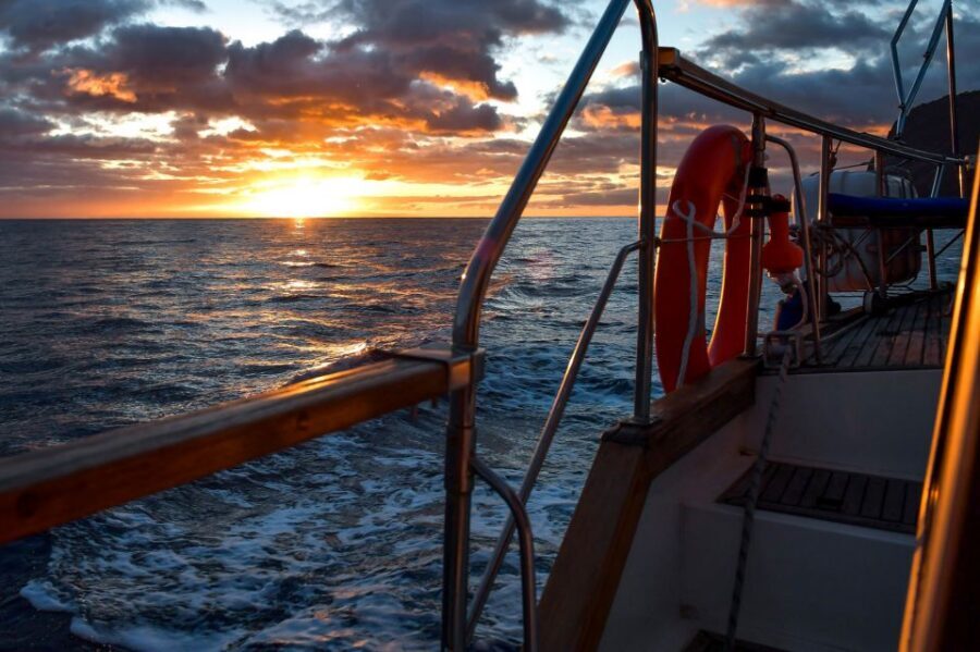 Funchal: Dolphin and Whale Watching Sunset Sailing Tour - Where You Start in Funchal (and Why It Matters)