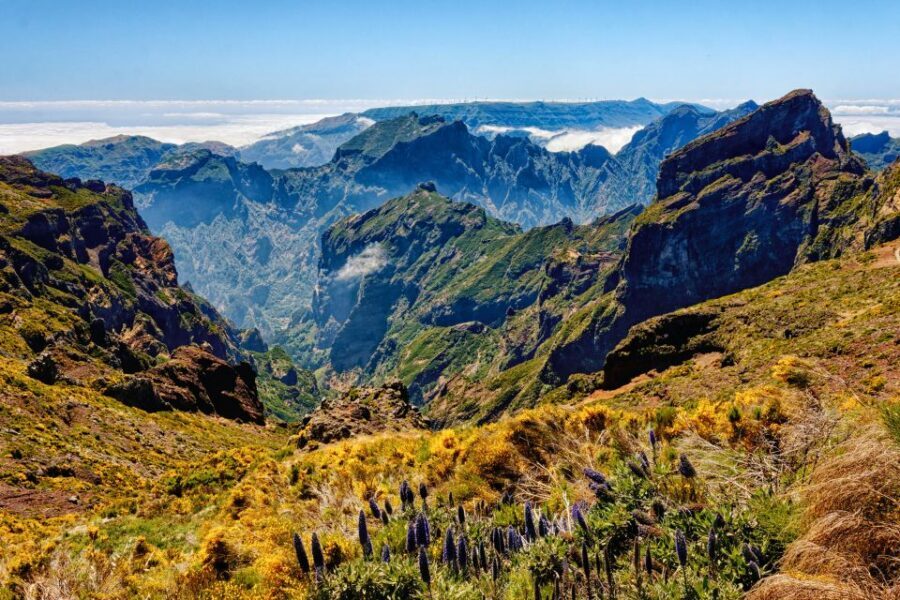 Funchal: East Madeira Island Guided Tour & Laurissilva Walk - Ribeiro Frio: lunch break plus a short levada walk