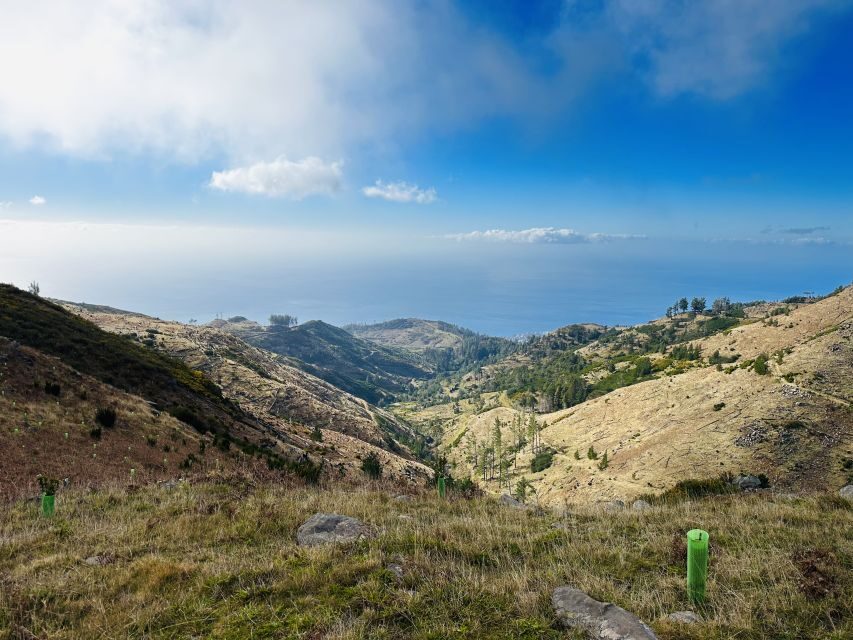 Funchal: East Madeira Island Guided Tour & Laurissilva Walk - Faial viewpoint stop: coastline drama without a long hike