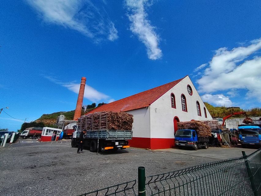 Funchal: East Madeira Island Guided Tour & Laurissilva Walk - Porto da Cruz and North Mills Distillery: the free rum taste