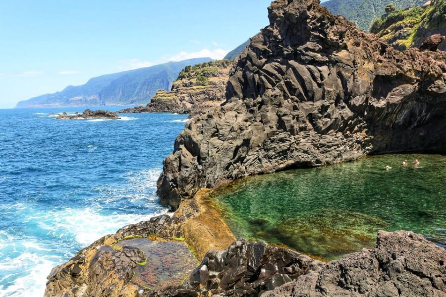 Funchal: Enchanted Terraces, Porto do Moniz & Fanal 4WD Tour - Fanal Forest and the Laurissilva Walk: Old Trees, Real Atmosphere