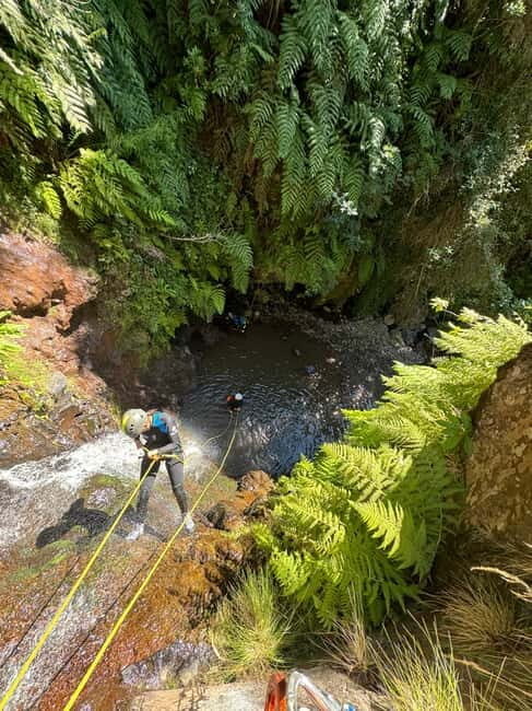 Funchal: Explore Canyoning Level 1 Rochão - Guides, safety, and why the small group size matters