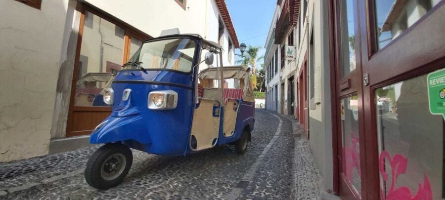 Funchal: Guided City Tuk-Tuk Tour - City-center icons: Zarco statue, Town Hall, and the cathedral