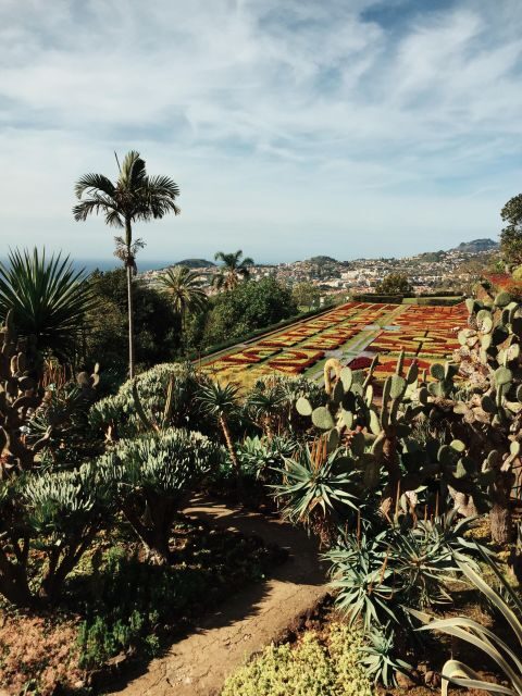 Funchal: Guided Old Town Tuk Tuk Tour and Botanical Gardens - Tuk tuk time on Madeira: fast orientation without the stress