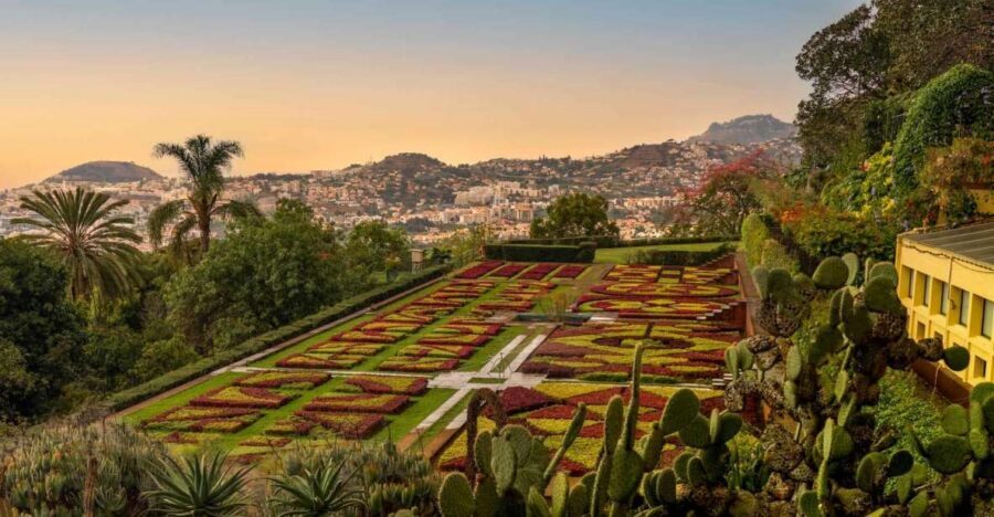 Funchal: Guided Old Town Tuk Tuk Tour and Botanical Gardens - 16th-century streets and Rua Ferrão Ornelas: the charm is in the corners