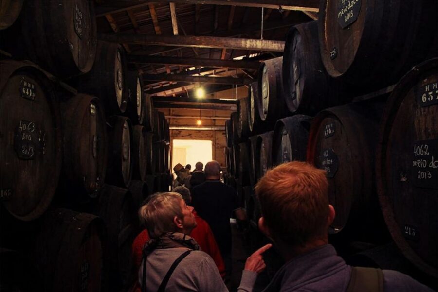 Funchal: H.M. Borges Winery Guided Tour with Wine Tasting - What you learn about Madeira winemaking (and why it affects your tasting)