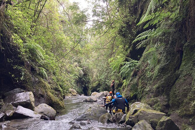 Funchal: Half-day Beginners Canyoning - Beginner Canyoning in Madeira: What You Actually Do in Three Hours