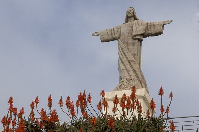 Funchal highlights 5h Private Tour in Madeira - The Route: A 5-Hour Madeira “Highlights” Plan That Actually Makes Sense
