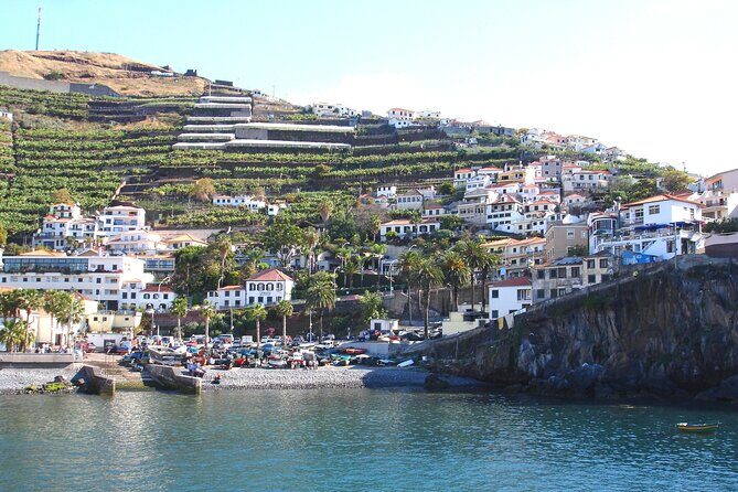 Funchal Hop-On Hop-Off Tour 3 in 1 - Price and value: does the $29.44-ish cost make sense?