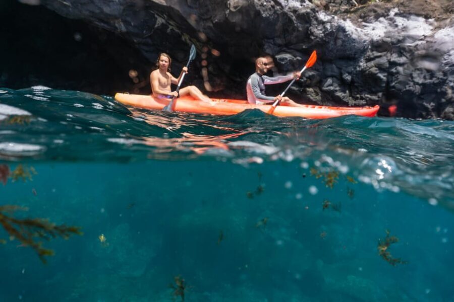 Funchal: KAYAK Rental or Guided tour with snorkeling - Key things I’d zero in on