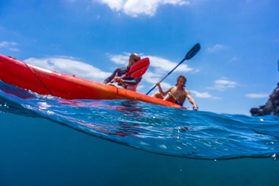 Funchal: KAYAK Rental or Guided tour with snorkeling - What $29 buys you in 90 minutes (and why it’s decent value)