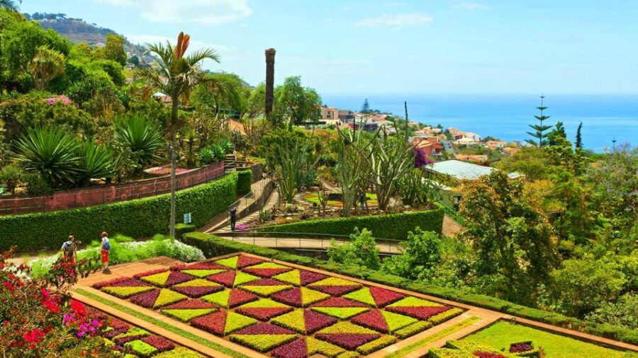 Funchal: Madeira Botanical Garden Private Tuk-Tuk Tour - Why a Tuk-Tuk Works So Well in Funchal’s Hills