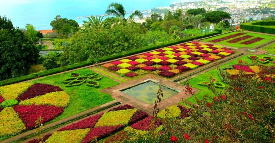 Funchal: Madeira Botanical Garden Private Tuk-Tuk Tour - Natural History Museum Access: More Than Just Flowers