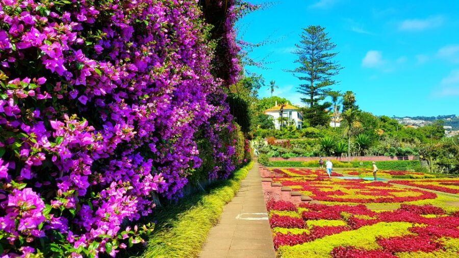 Funchal: Madeira Botanical Garden Private Tuk-Tuk Tour - Hotel Pickup, Drop-Off, and How to Think About Timing